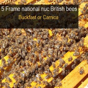British National 5 Frame Nuc 2016 JUNE COLLECTION